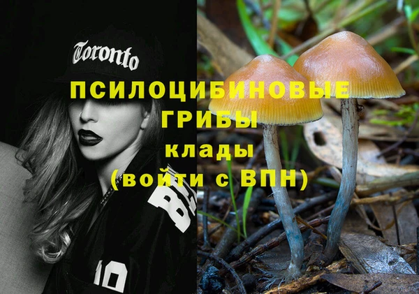 PSILOCYBIN Алзамай