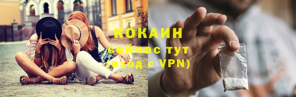 стаф Алексин