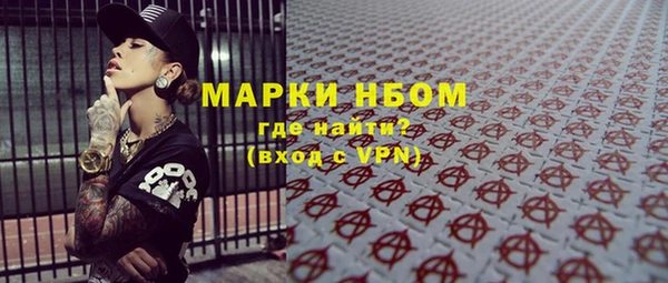 PSILOCYBIN Алзамай