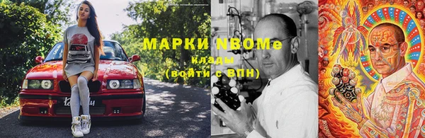 PSILOCYBIN Алзамай