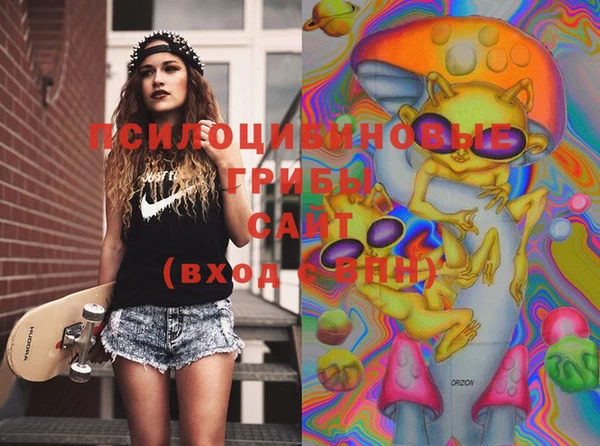 PSILOCYBIN Алзамай