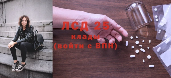 стаф Алексин