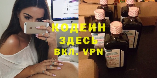 PSILOCYBIN Алзамай