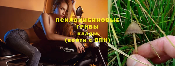 стаф Алексин