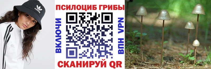 цена   omg ONION  Псилоцибиновые грибы Psilocybine cubensis  Елабуга 